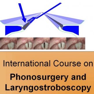 6th International Course on Laryngostroboscopy and Fiberendoscopic Phonosurgery