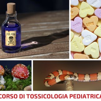 CORSO DI TOSSICOLOGIA